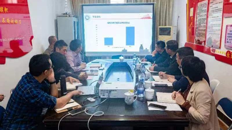 VI设计全套方案，揭秘其核心内容与价值